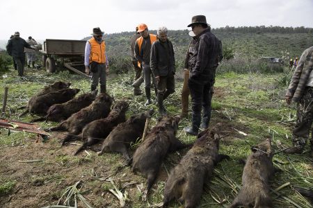 Photo Chasse Gros Gibier River Camp Morocco 146