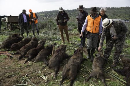 Photo Chasse Gros Gibier River Camp Morocco 147