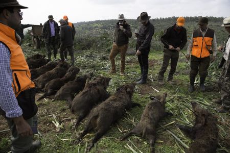 Photo Chasse Gros Gibier River Camp Morocco 148